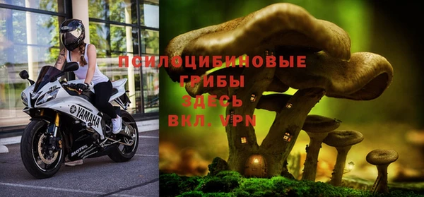спайс Балахна