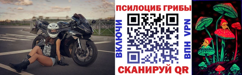 Галлюциногенные грибы Psilocybe  Лениногорск 