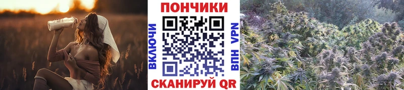 это клад  Лениногорск  Бошки марихуана VHQ 